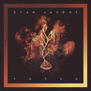 香蕉网站在哪里看
