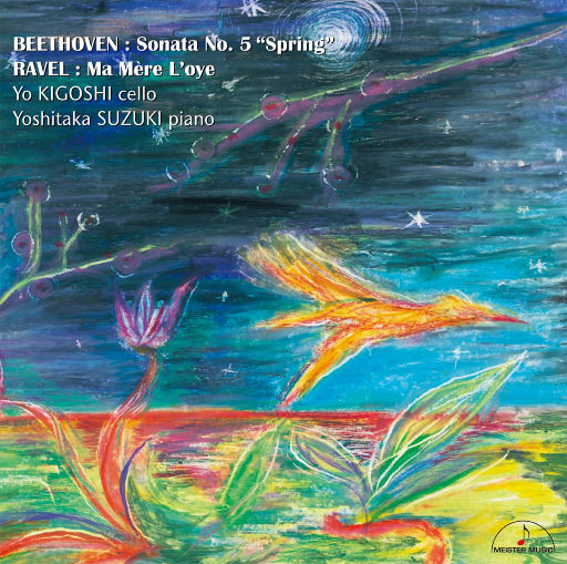 香蕉网站在哪里看
